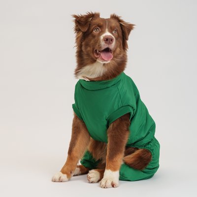 Petmax Комбинезон на замке для собак, 4XL, зеленый