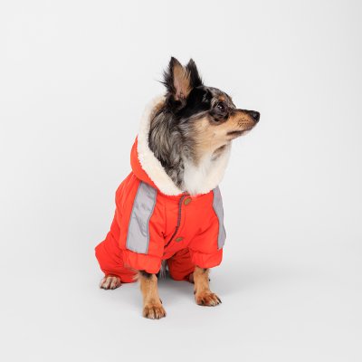 Petmax Комбинезон с капюшоном для собак, S, оранжево-серый