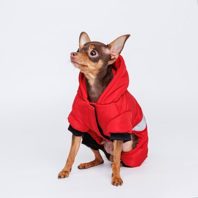 RURRI Комбинезон для собак, S, красный