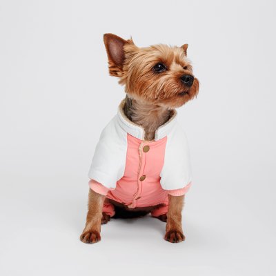 Petmax Комбинезон для собак, S, розово-серый (девочка)