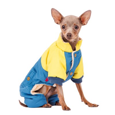 Petmax Комбинезон для собак, M, голубой (унисекс)