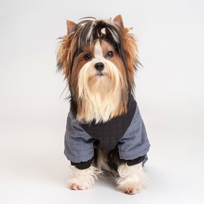 RURRI Комбинезон на замке для собак, M, синий