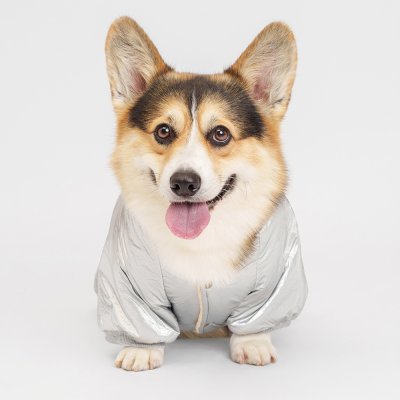 Petmax Комбинезон с капюшоном для собак, 4XL, серебряный (мальчик)