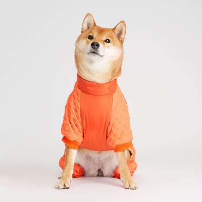 Petmax Комбинезон на замке для собак, 4XL, оранжевый (унисекс)