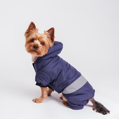 RURRI Комбинезон для собак, S, синий