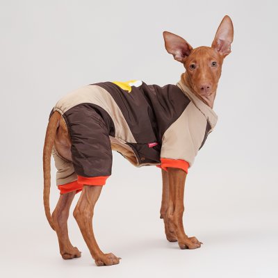 Petmax Комбинезон с медведем для собак, 2XL