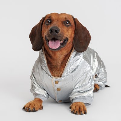 Petmax Комбинезон с капюшоном для собак, 3XL, серебряный (мальчик)