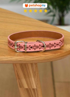 Ошейники, шлейки PETSHOP Ошейник для собак (27-37 см)