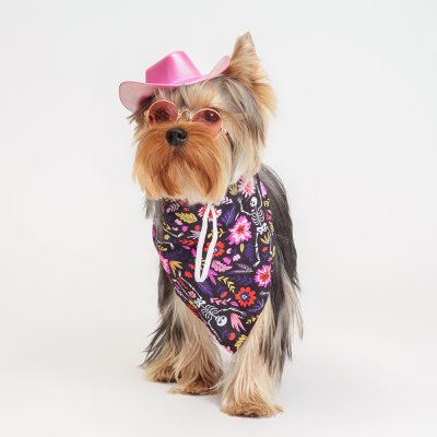 RURRI Комплект (шляпа, очки и бандана) для кошек и собак, шляпа 11х12,3х3,5 см, очки 7,5х3,2 см, длина дужек 7 см, розовый