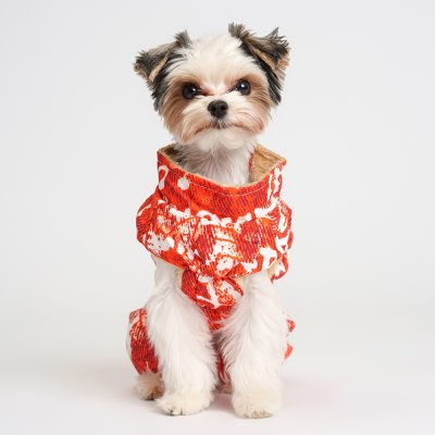 Petmax Комбинезон на замке для собак, L, оранжево-белый (унисекс)