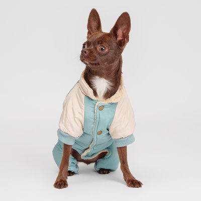 Petmax Комбинезон для собак, L, голубой (девочка)