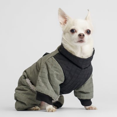 RURRI Комбинезон на замке для собак, M, зеленый