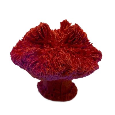 ГРОТАКВА Декор для аквариума Коралл лилия, 7х6х2,5 см, красный