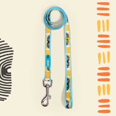 RURRI Поводок нейлоновый для собак Саванна, длина 120 см, ширина 1,5 см, оранжевый