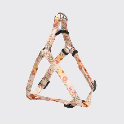 RURRI Шлейка для кошек и собак Лето, объем груди 45-63 см, ширина ремешка 1,5 см