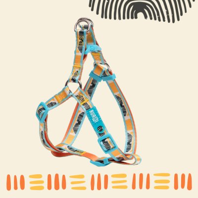 RURRI Шлейка для собак Step-in Саванна, обхват груди 45-63 см, ширина ремешка 1,5 см, оранжевый