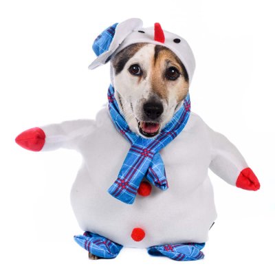 RURRI Костюм для собак Снеговик с ручками S голубой (унисекс)