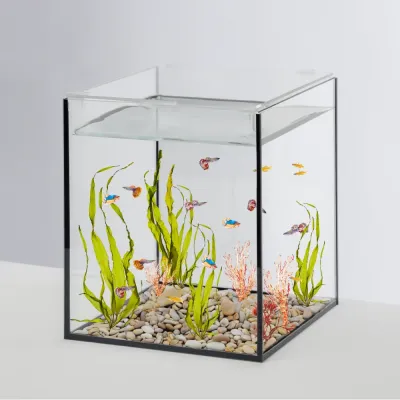 WATERA Аквариум-креветкарий (27х27х32 см) с покровным стеклом, 23 л