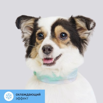 RURRI Ошейник охлаждающий для собак, S, зеленый