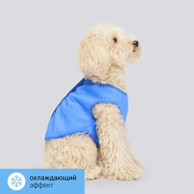 RURRI Жилет охлаждающий для собак, M, синий