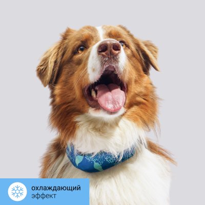 RURRI Ошейник охлаждающий для собак, 63,5x6,2 см, синий