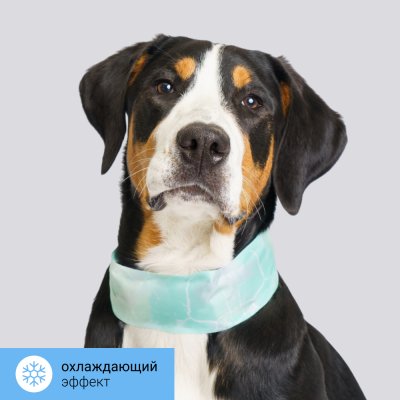 RURRI Ошейник охлаждающий для собак, XL, зеленый
