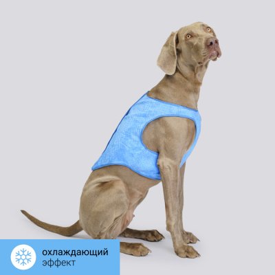 RURRI Жилет охлаждающий для собак, L, синий