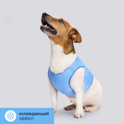 RURRI Жилет охлаждающий для собак, S, синий