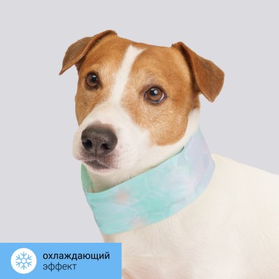 RURRI Ошейник охлаждающий для кошек и собак, 61x6,5 см, зеленый