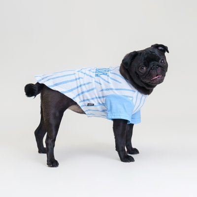 RURRI Футболка для кошек и собак, L, бело-голубая