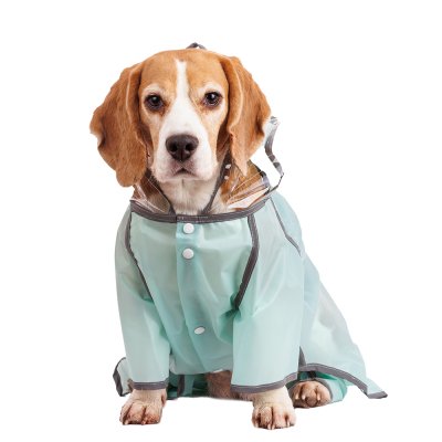 Petmax Дождевик с капюшоном и ножками для собак, 3XL, зеленый (унисекс)