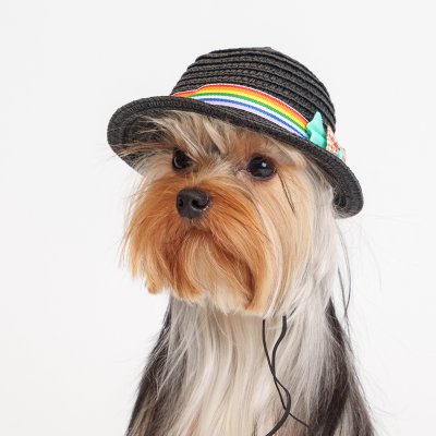 RURRI Шляпка серая с бантом для кошек и собак, диаметр с полями 14 см (без полей 10 см), высота 6,5 см