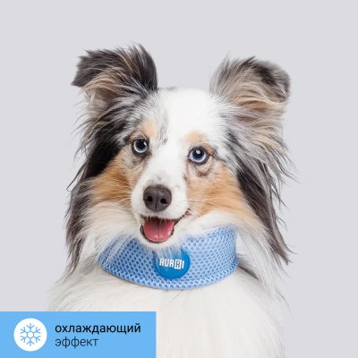 RURRI Ошейник охлаждающий для собак, обхват шеи 28 см, ширина 5,5 см, голубой