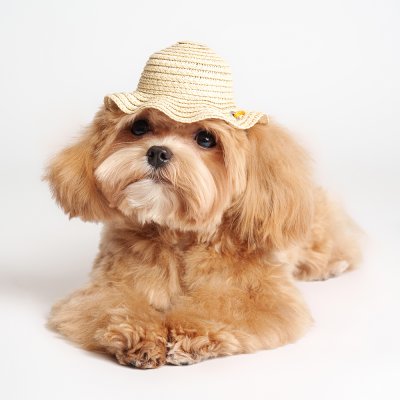 RURRI Шляпка из соломы для собак и кошек, 11,5 см