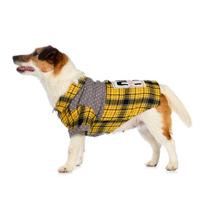 Petmax Рубашка для собак 2XL желтый (унисекс)