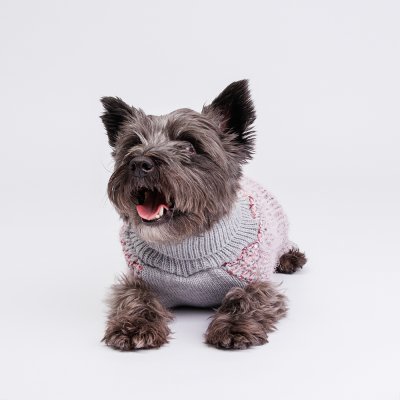 RURRI Свитер вязаный для кошек и собак, XL, фиолетовый