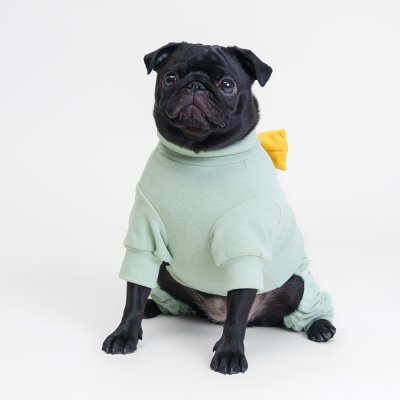 RURRI Костюм флисовый с бантом для кошек и собак, XL, зеленый