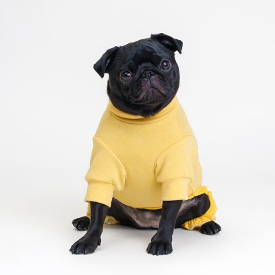 RURRI Костюм флисовый с бантом для кошек и собак, XL, желтый