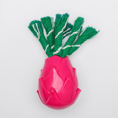 RURRI Игрушка для собак Питахайя, 7,7х9,7 см