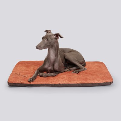 RURRI Матрас для кошек и собак Сердца, 64х51х5 см, коричневый