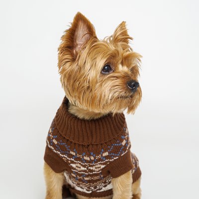 Petmax Свитер с узорами для кошек и собак, XS, коричневый