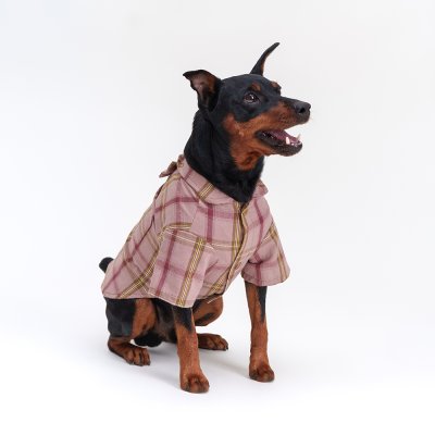 RURRI Рубашка с бантом для собак, 2XL, красная