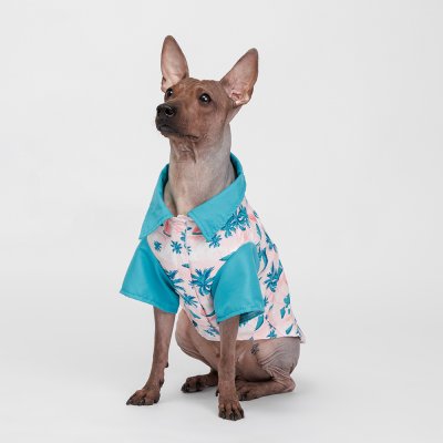 RURRI Футболка для кошек и собак, XL, голубая с принтом