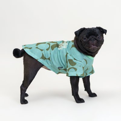 RURRI Футболка для кошек и собак, L, зеленая