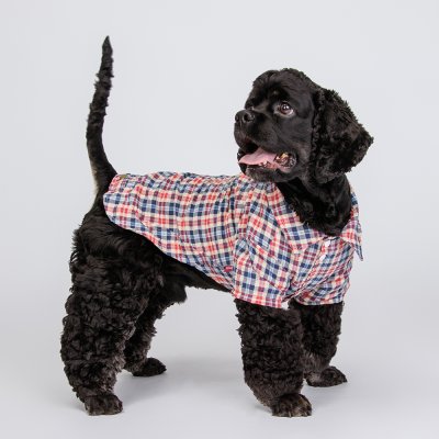 Petmax Рубашка в клеточку для собак, 4XL, сине-красная