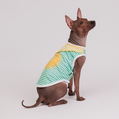 RURRI Футболка с банданой для собак Cool, L, зеленая