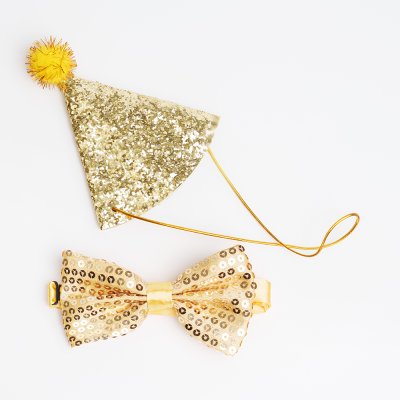 Petmax Колпак и бантик новогодний для собак Праздник, колпак 12х10,5 см, бантик 12,5х6,5 см, золотой