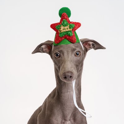 Petmax Шляпка звезда для собак Merry Christmas, 9,5х8,5 см, красно-зеленый