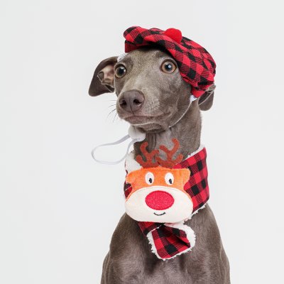 RURRI Берет и шарф в клетку для собак, шарф 39х6 см, берет 9х4 см, красный