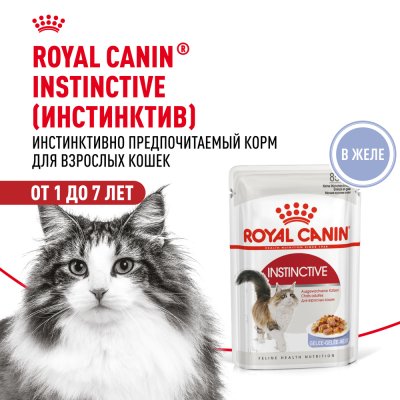 Корм для кошек ROYAL CANIN Instinctive желе пауч 85г